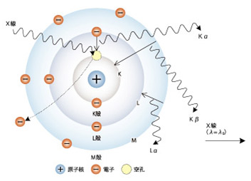 EDX-7000/8000/8100